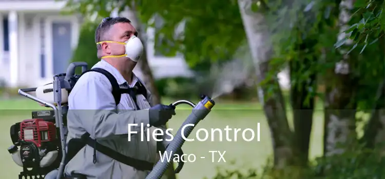 Flies Control Waco - TX