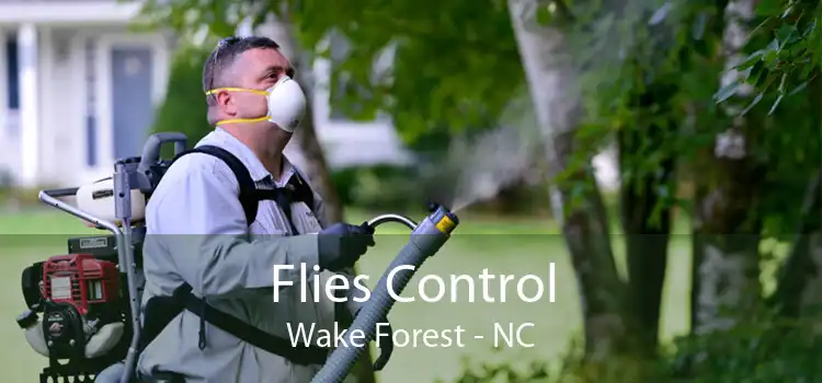 Flies Control Wake Forest - NC