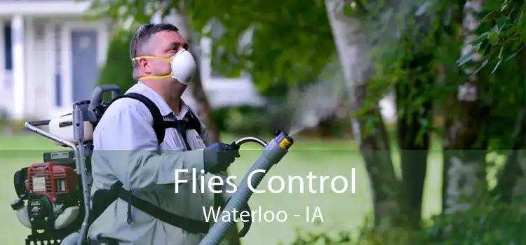 Flies Control Waterloo - IA