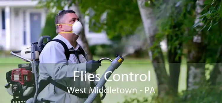 Flies Control West Middletown - PA