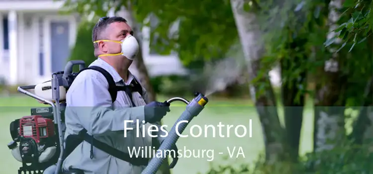 Flies Control Williamsburg - VA