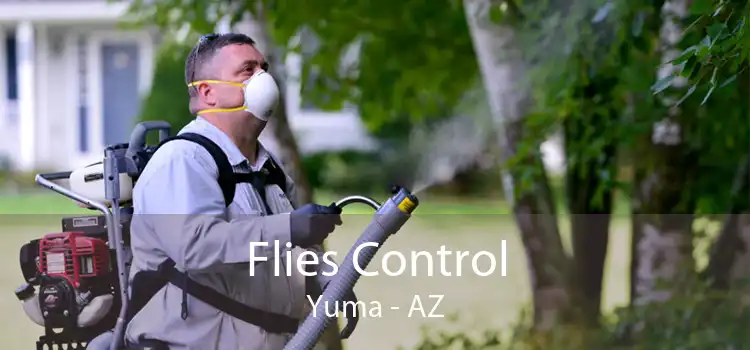 Flies Control Yuma - AZ