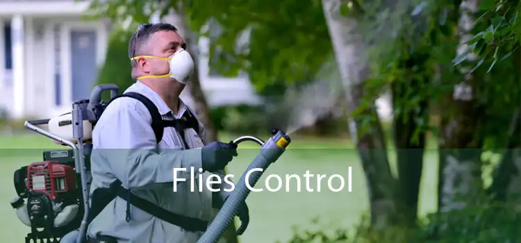 Flies Control 