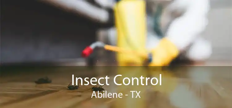 Insect Control Abilene - TX