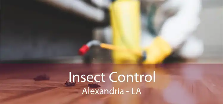 Insect Control Alexandria - LA