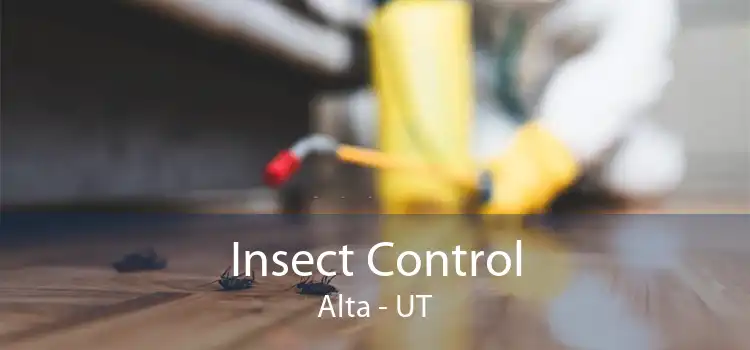 Insect Control Alta - UT