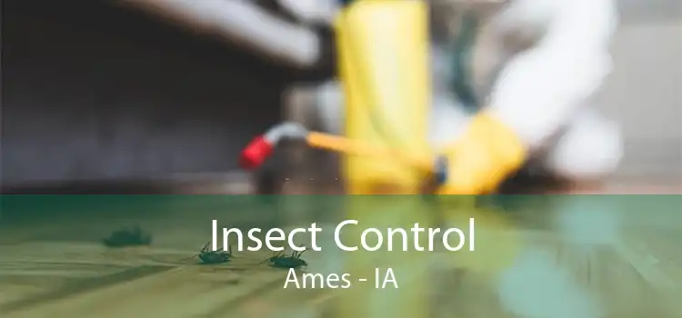 Insect Control Ames - IA