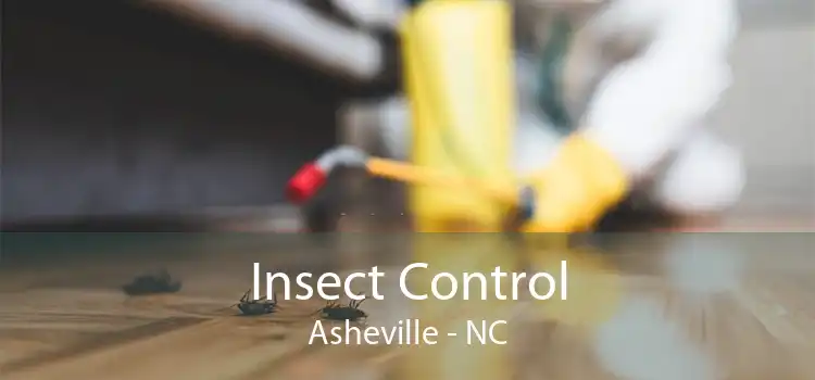 Insect Control Asheville - NC