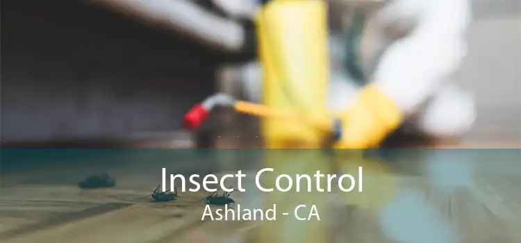 Insect Control Ashland - CA