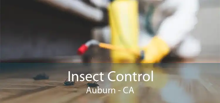 Insect Control Auburn - CA
