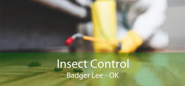 Insect Control Badger Lee - OK