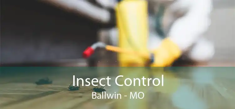 Insect Control Ballwin - MO