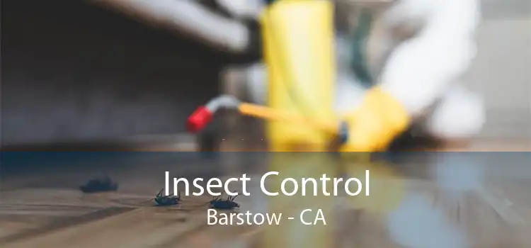 Insect Control Barstow - CA