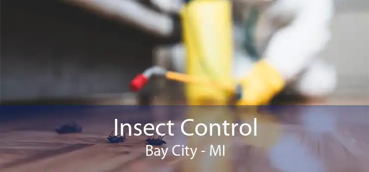Insect Control Bay City - MI