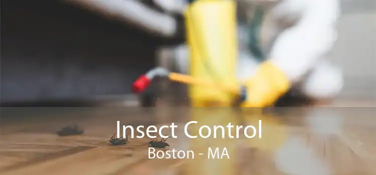 Insect Control Boston - MA