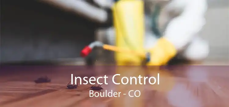 Insect Control Boulder - CO