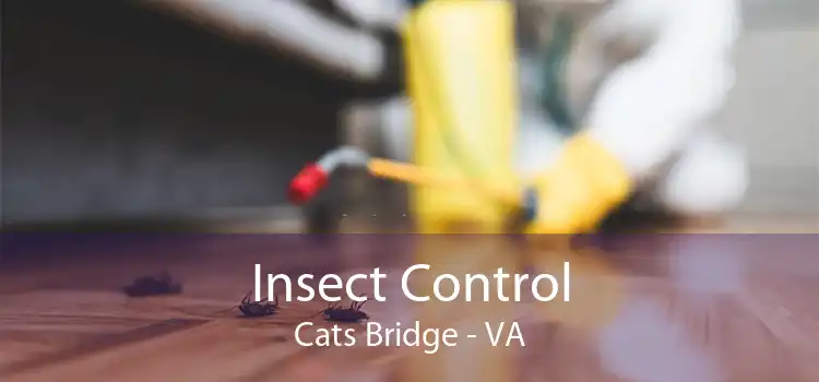 Insect Control Cats Bridge - VA