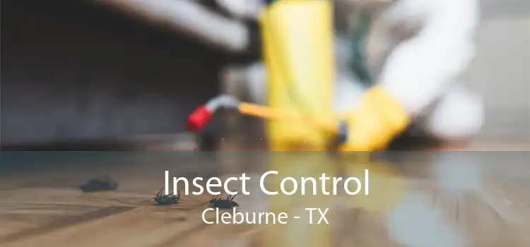 Insect Control Cleburne - TX