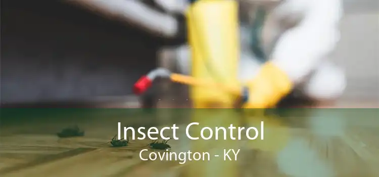 Insect Control Covington - KY