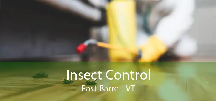 Insect Control East Barre - VT