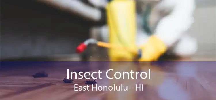Insect Control East Honolulu - HI
