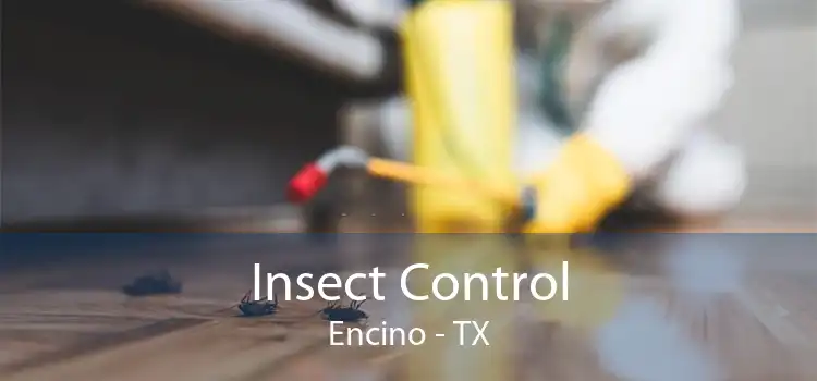 Insect Control Encino - TX