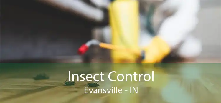 Insect Control Evansville - IN