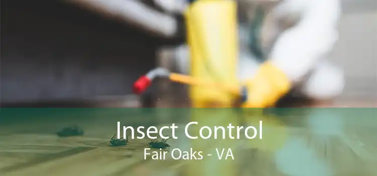 Insect Control Fair Oaks - VA