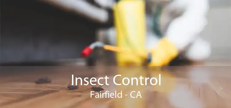 Insect Control Fairfield - CA