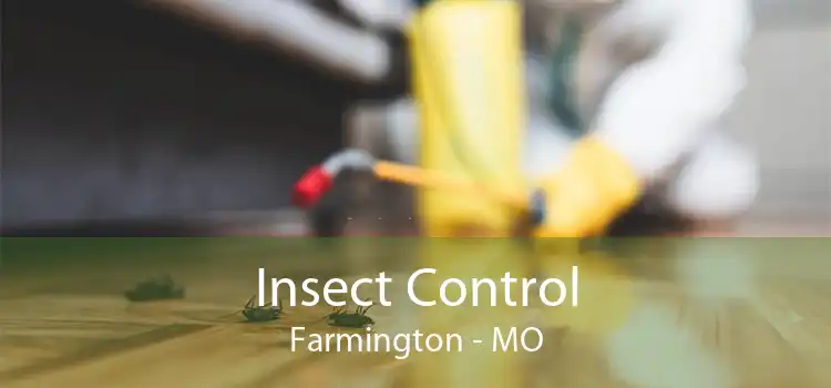 Insect Control Farmington - MO