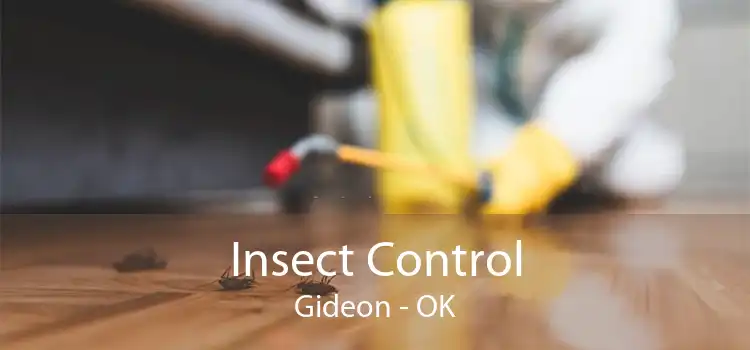 Insect Control Gideon - OK