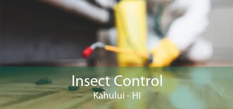 Insect Control Kahului - HI