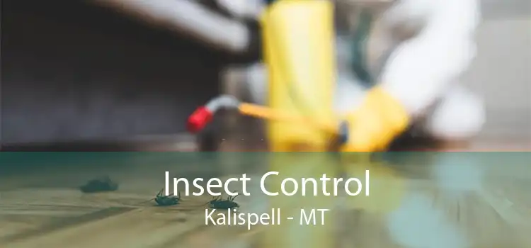 Insect Control Kalispell - MT