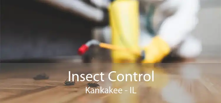 Insect Control Kankakee - IL