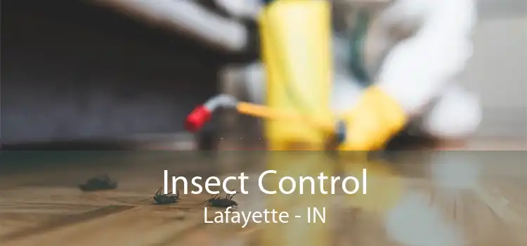Insect Control Lafayette - IN