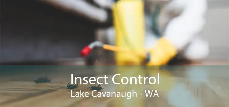 Insect Control Lake Cavanaugh - WA