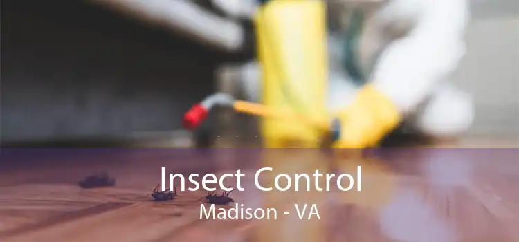 Insect Control Madison - VA