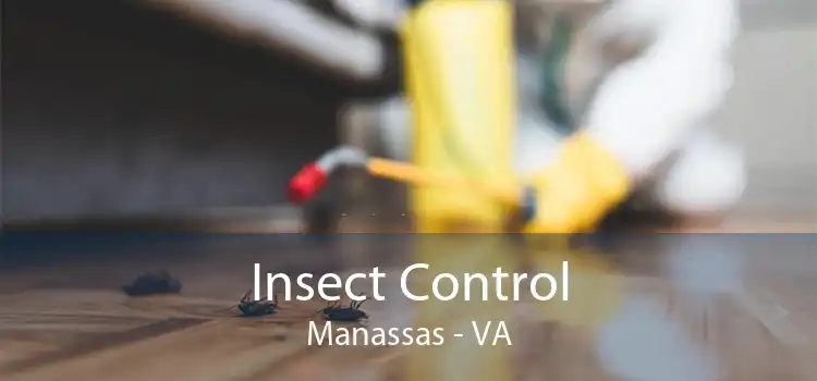 Insect Control Manassas - VA