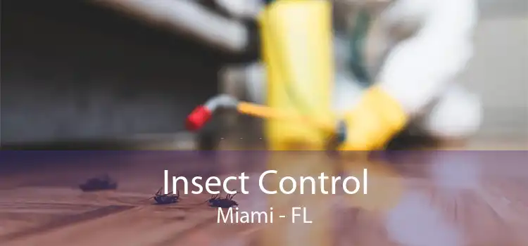Insect Control Miami - FL