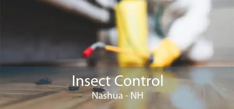 Insect Control Nashua - NH