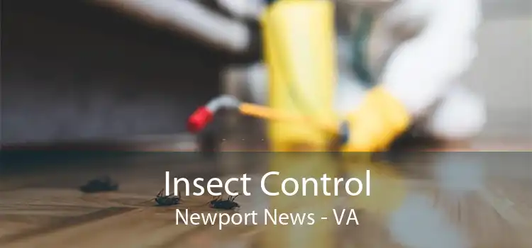 Insect Control Newport News - VA