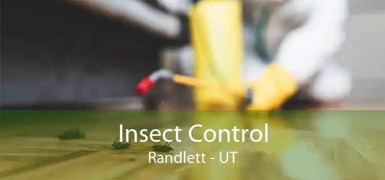 Insect Control Randlett - UT