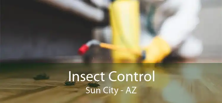 Insect Control Sun City - AZ