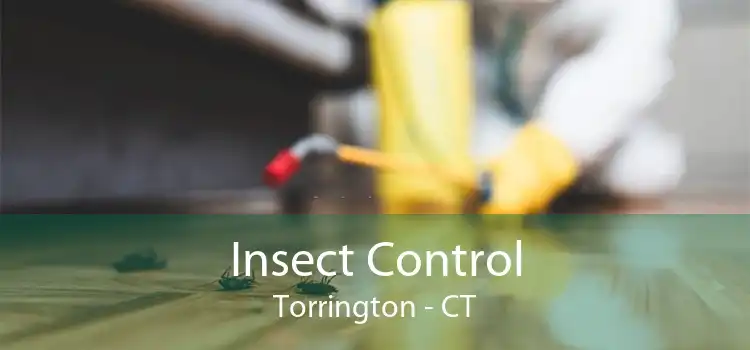 Insect Control Torrington - CT