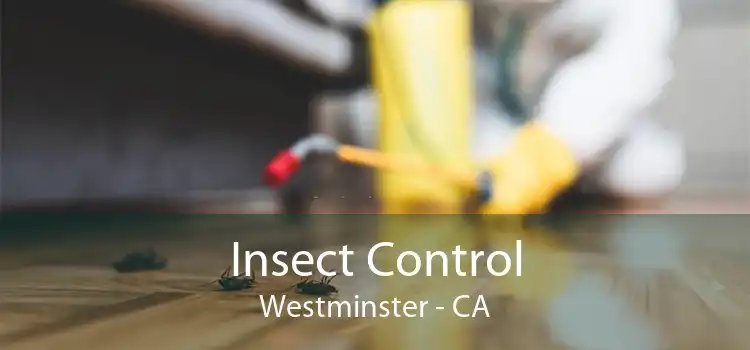 Insect Control Westminster - CA