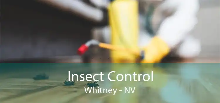 Insect Control Whitney - NV