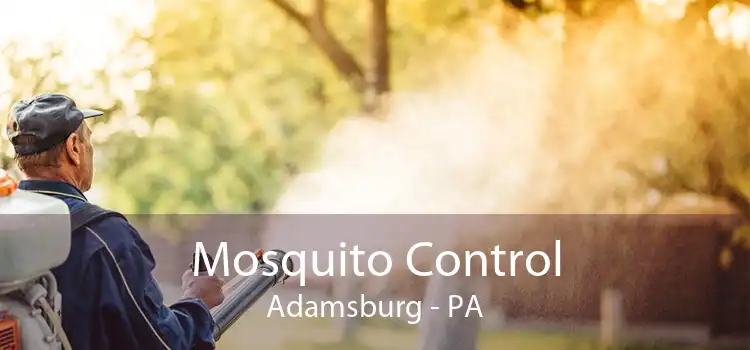 Mosquito Control Adamsburg - PA