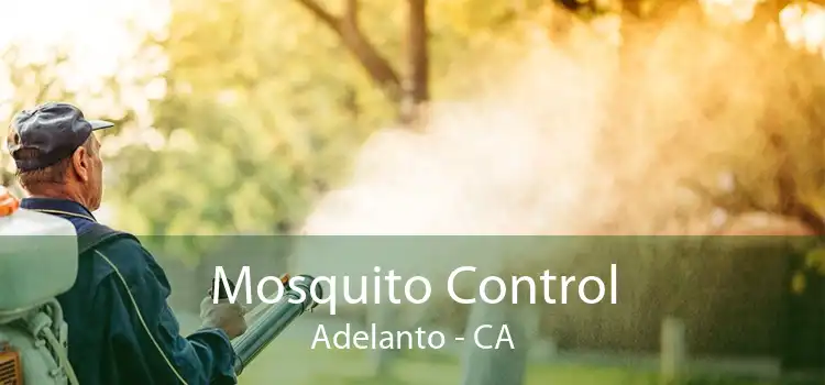 Mosquito Control Adelanto - CA