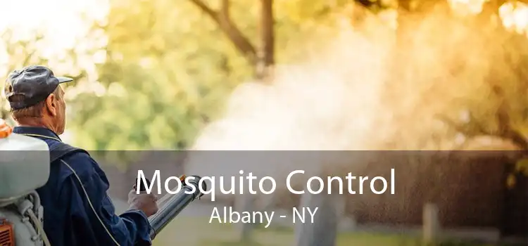 Mosquito Control Albany - NY