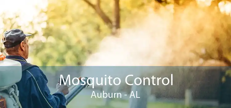 Mosquito Control Auburn - AL